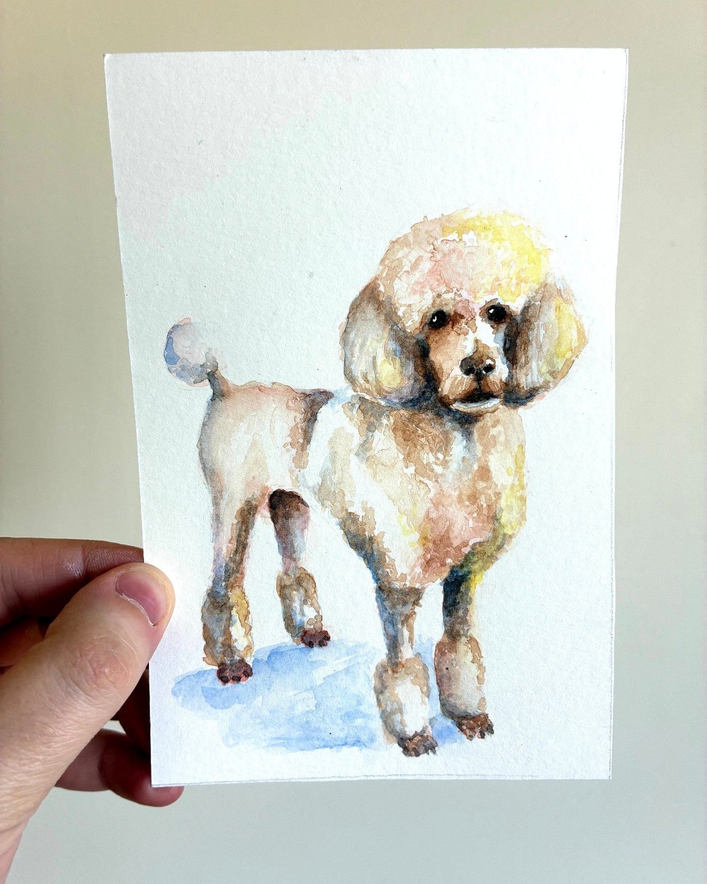 Paint your Pet