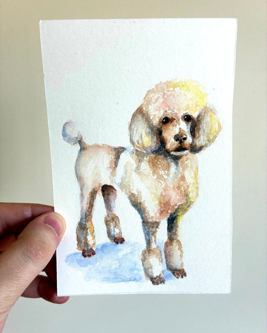 Paint your Pet